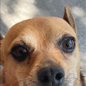 Meet your Posher, Martha